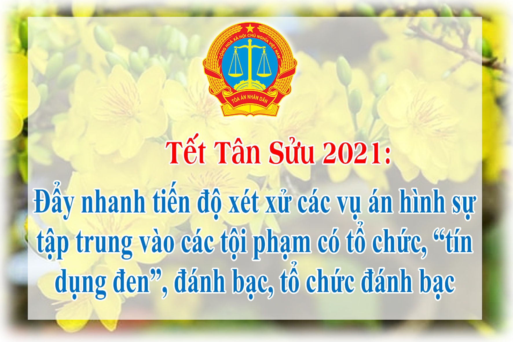 tet tan suu.jpg