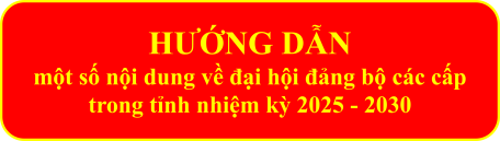 Một số nội dung về đại hội đảng bộ các cấp trong tỉnh nhiệm kỳ 2025 - 2030