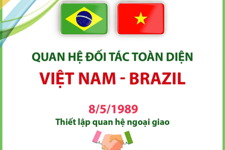 Quan hệ Đối tác toàn diện Việt Nam - Brazil