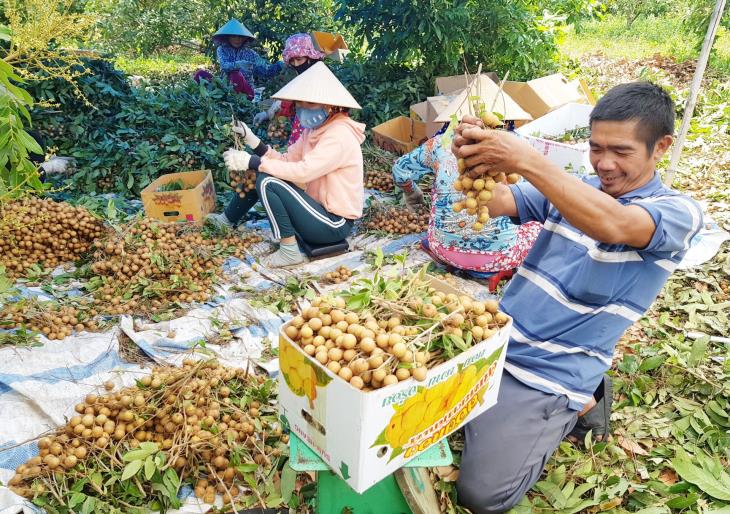 Tây Ninh: Triển khai chương trình 