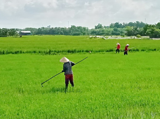 Thông tin kinh tế trong tỉnh 