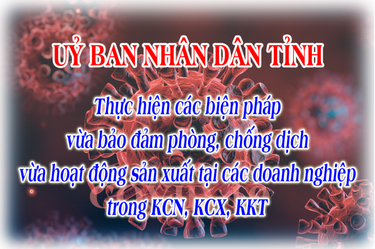 Ủy ban nhân dân tỉnh: Thực hiện các biện pháp vừa bảo đảm phòng, chống dịch vừa hoạt động sản xuất tại các doanh nghiệp trong khu công nghiệp, khu chế xuất, khu kinh tế