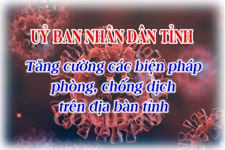 UBND tỉnh chỉ đạo tăng cường các biện pháp phòng, chống dịch trên địa bàn tỉnh