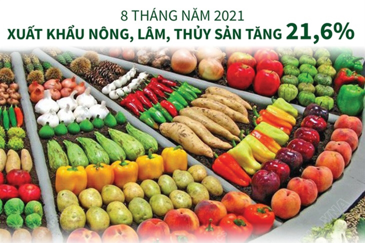 8 tháng năm 2021: Xuất khẩu nông, lâm, thủy sản tăng 21,6%