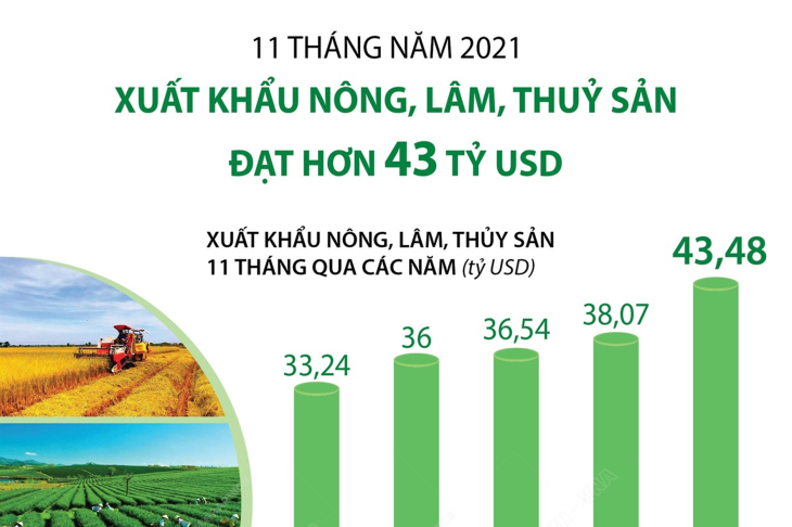 11 tháng năm 2021: Xuất khẩu nông, lâm, thuỷ sản đạt hơn 43 tỷ USD