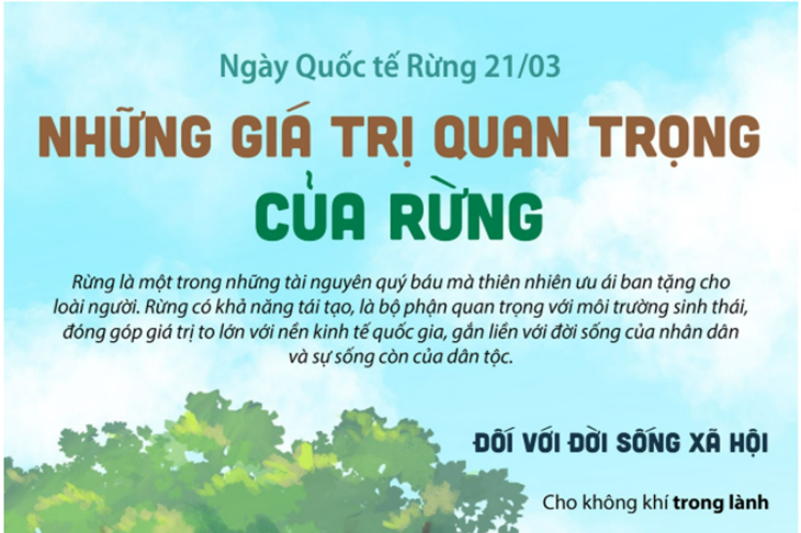 Ngày Quốc tế Rừng 21/3: Những giá trị quan trọng của rừng