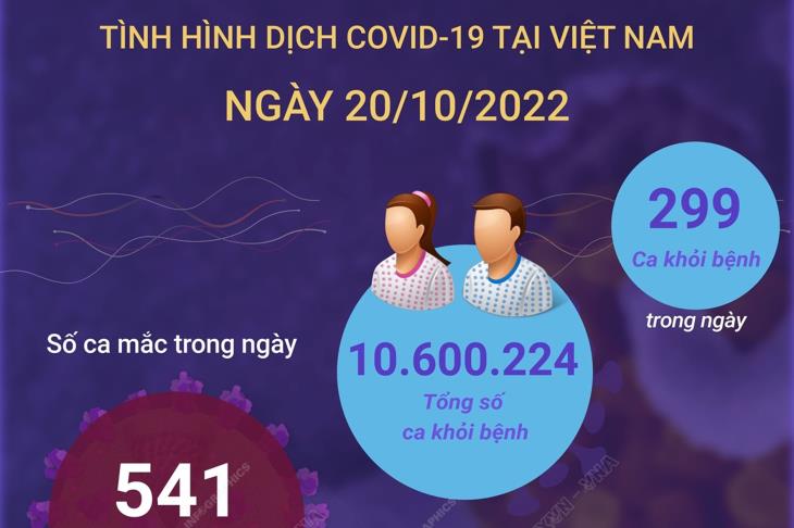 Ngày 20/10: Có 541 ca COVID-19 mới, 299 F0 khỏi bệnh