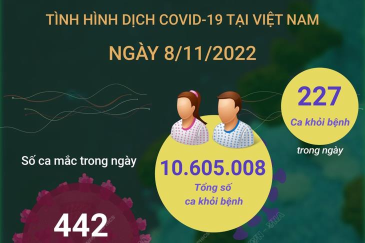 Ngày 8/11: Có 442 ca COVID-19 mới, 227 F0 khỏi bệnh