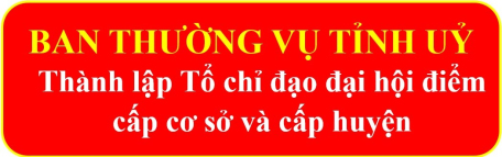 Ban Thường vụ Tỉnh uỷ:  Thành lập Tổ chỉ đạo đại hội điểm cấp cơ sở và cấp huyện