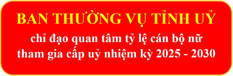 Ban Thường vụ Tỉnh uỷ chỉ đạo quan tâm tỷ lệ cán bộ nữ tham gia cấp uỷ nhiệm kỳ 2025 - 2030