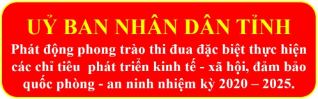 UBND tỉnh phát động phong trào thi đua đặc biệt thực hiện các chỉ tiêu  phát triển kinh tế - xã hội, đảm bảo quốc phòng - an ninh nhiệm kỳ 2020 – 2025