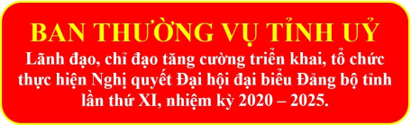 Ban Thường vụ Tỉnh uỷ lãnh đạo, chỉ đạo tăng cường triển khai, tổ chức thực hiện Nghị quyết Đại hội đại biểu Đảng bộ tỉnh lần thứ XI, nhiệm kỳ 2020 – 2025.