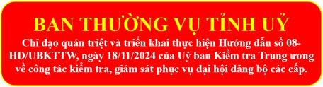 Ban Thường vụ Tỉnh uỷ lãnh đạo, chỉ đạo thực hiện công tác kiểm tra, giám sát phục vụ đại hội đảng bộ các cấp