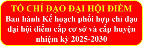 Chuẩn bị tốt các nội dung tổ chức đại hội điểm cấp cơ sở và cấp huyện nhiệm kỳ 2025-2030