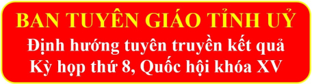 Tuyên truyền kết quả kỳ họp thứ 8, Quốc hội khóa XV