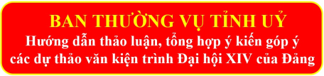 Thảo luận, tổng hợp ý kiến góp ý các dự thảo văn kiện trình Đại hội XIV của Đảng