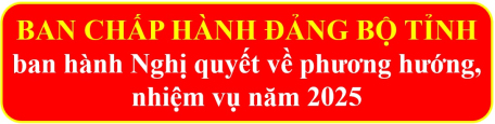 Ban Chấp hành Đảng bộ tỉnh ban hành Nghị quyết về phương hướng, nhiệm vụ năm 2025