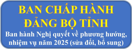 Ban Chấp hành Đảng bộ tỉnh ban hành Nghị quyết về phương hướng, nhiệm vụ năm 2025 (sửa đổi, bổ sung)