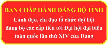 Ban Chấp hành Đảng bộ tỉnh lãnh đạo, chỉ đạo tổ chức đại hội đảng bộ các cấp tiến tới Đại hội đại biểu toàn quốc lần thứ XIV của Đảng