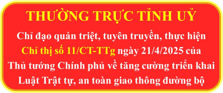 Quán triệt, thực hiện Chỉ thị số 11/CT-TTg của Thủ tướng Chính phủ