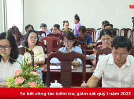 Sơ kết công tác kiểm tra, giám sát quý I năm 2023