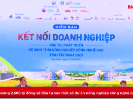 Khoảng 2.500 tỷ đồng sẽ đầu tư vào một số dự án nông nghiệp công nghệ cao tại Tây Ninh