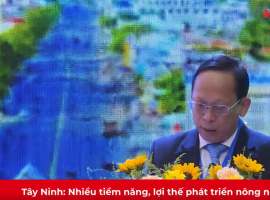 Tây Ninh: Nhiều tiềm năng, lợi thế phát triển nông nghiệp